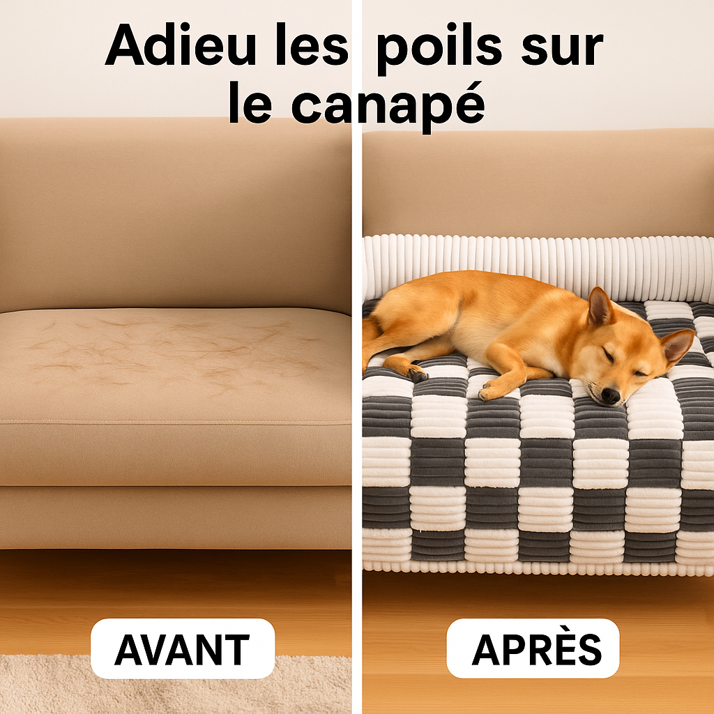 Lit pour chien et chat antipoil canapé